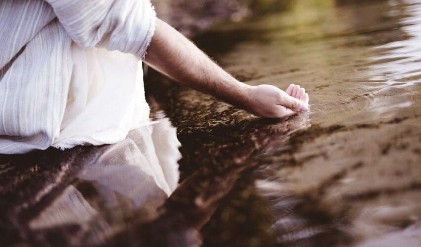 Stable Roots Limitless Growth the Power of Living in Grace