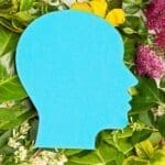 Will Power Is Great A Structured System Is Even Better