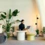 Biophilic Design for Mental Clarity